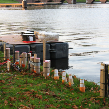 AZUMA_LEIDEN_03-10-2011_058